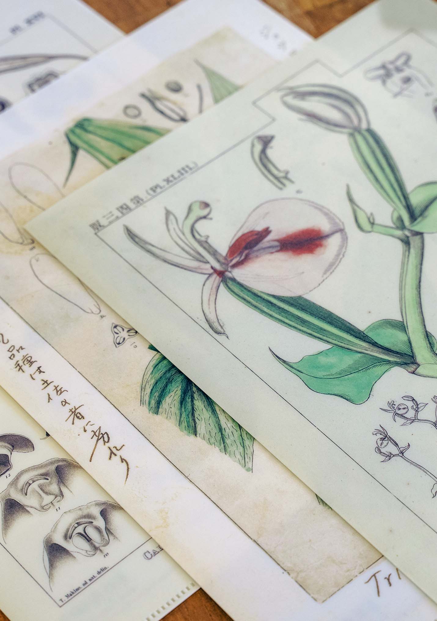 クリアファイル