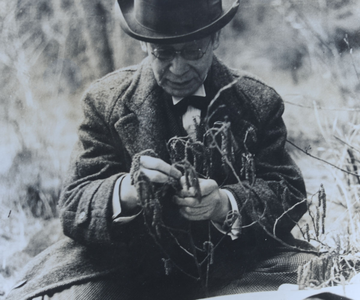 ミュージアムショップ牧野